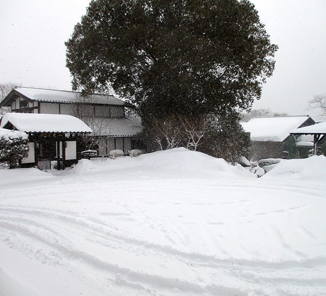 雪景色