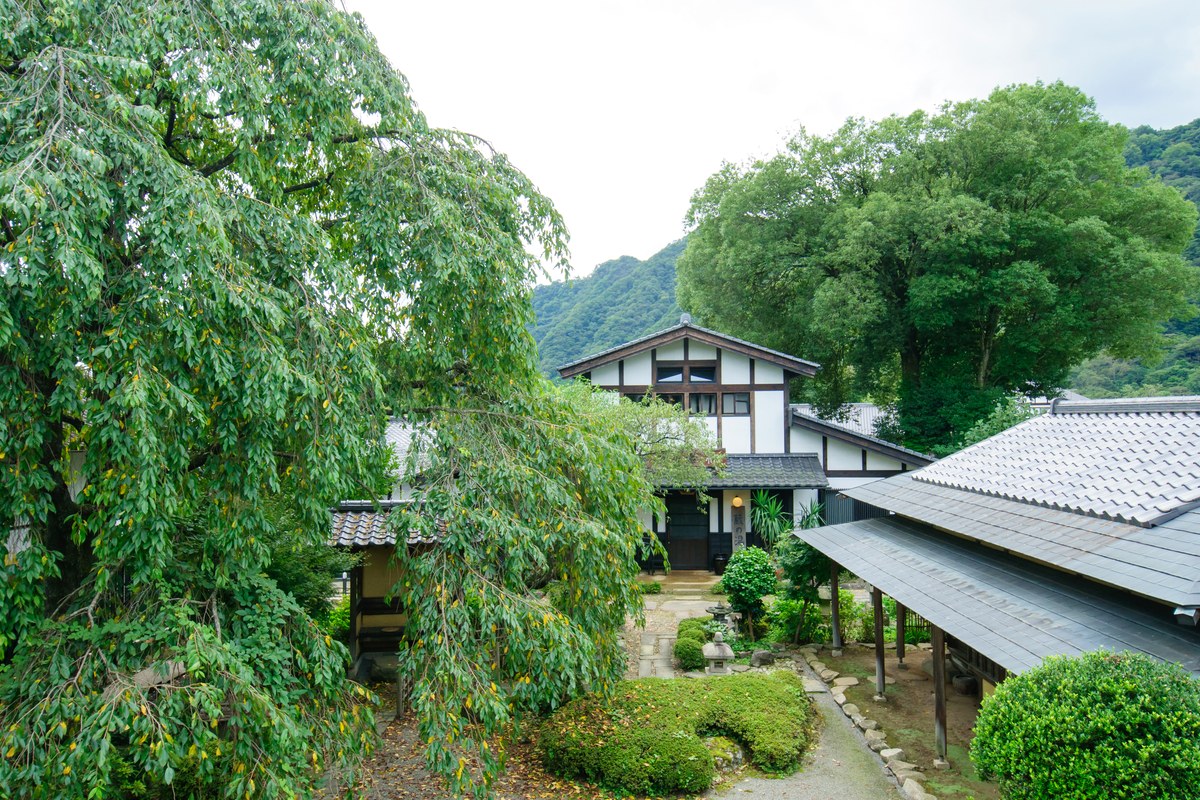 緑に包まれた旅籠屋丸一の中庭と客室棟