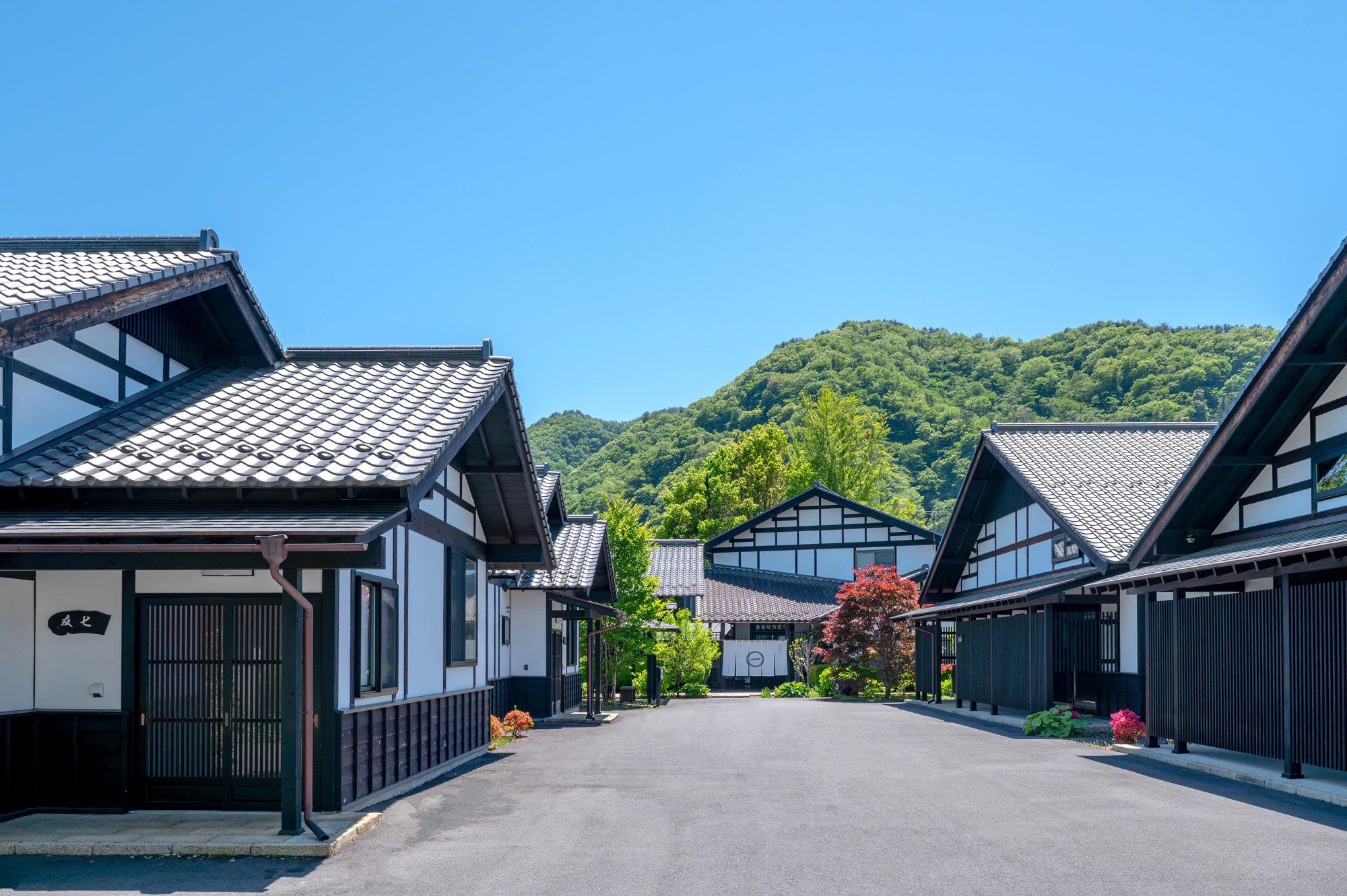 旅籠屋丸一の建物と夏山を囲む緑の木々