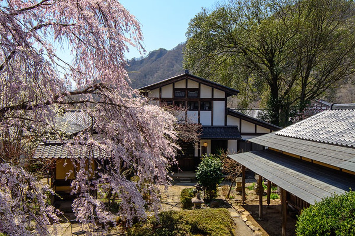 旅籠屋丸一の庭で揺れる葉と光