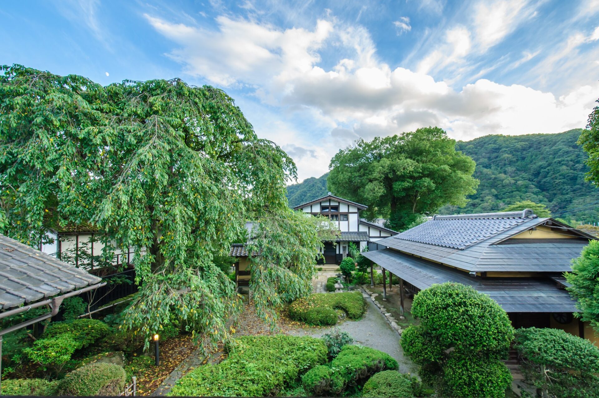 緑の木々と山に囲まれた夏の旅籠屋丸一