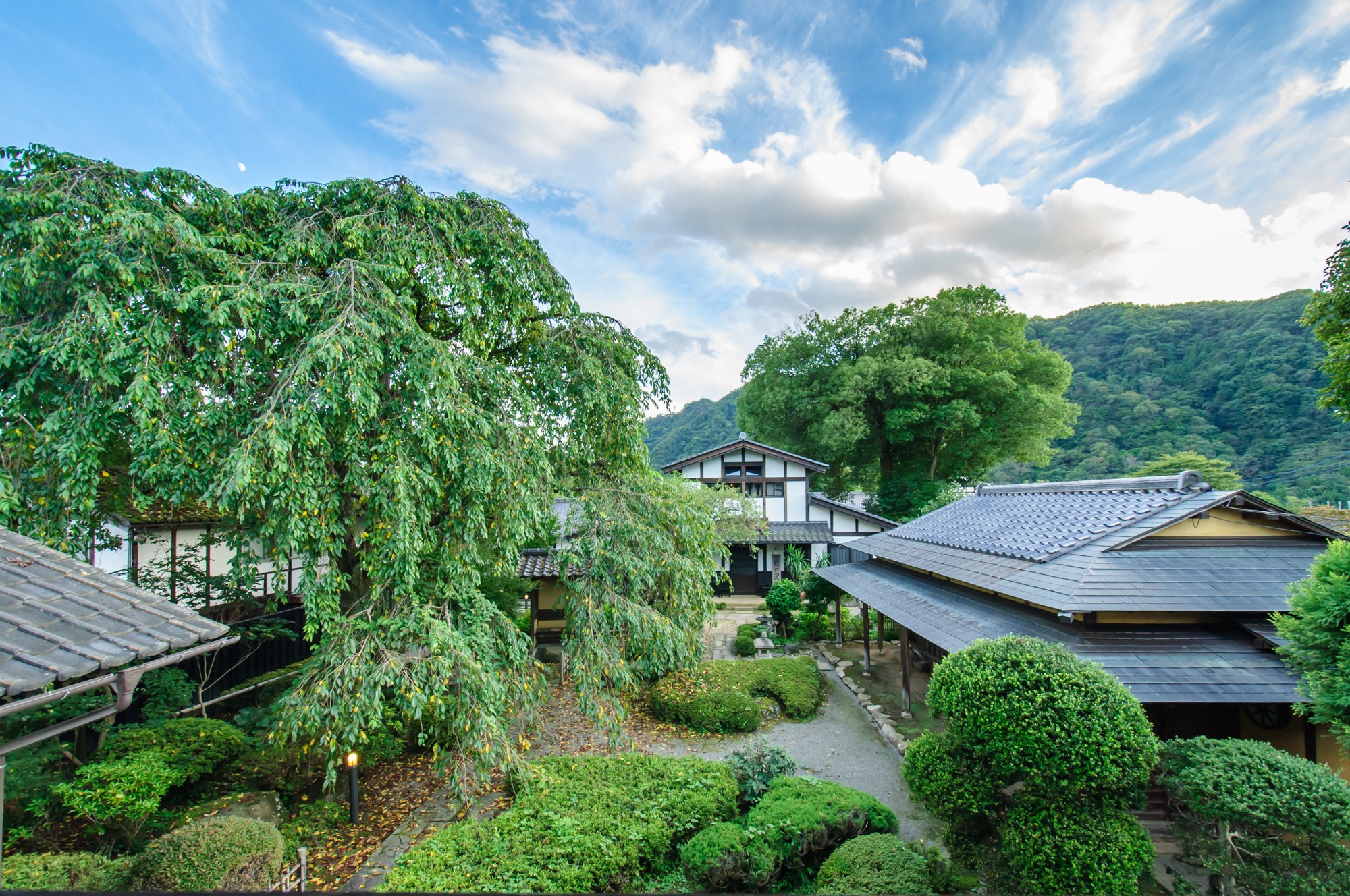 緑の木々と山に囲まれた夏の旅籠屋丸一