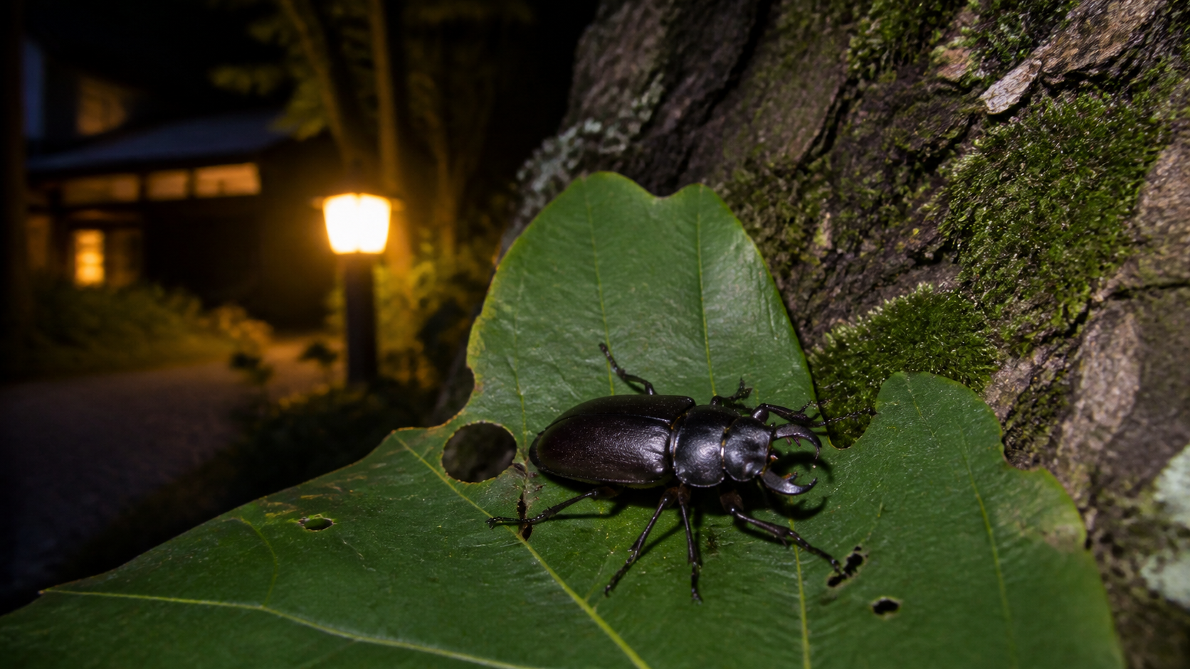 夜の街灯近くで葉にとまるクワガタを表現した生成イメージ