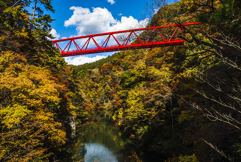 紅葉と赤い橋が映える赤谷湖周辺の景観