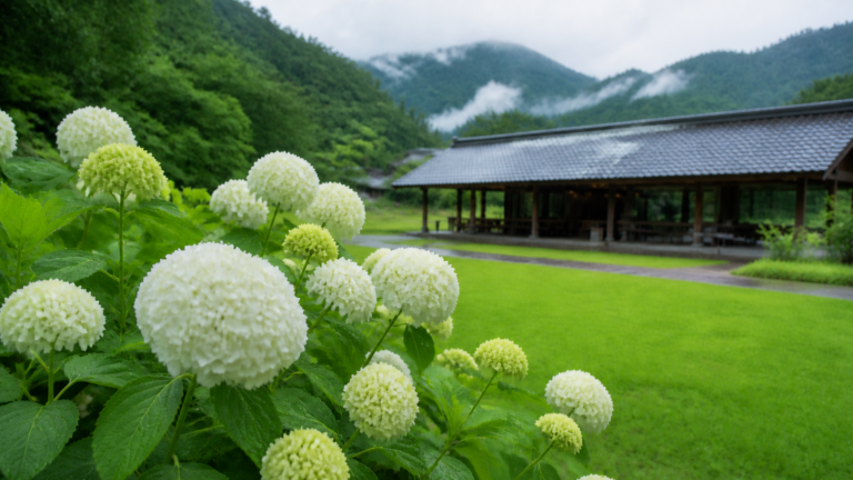 山里の芝生広場で白く丸い花を咲かせるアナベルを表現した生成イメージ