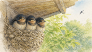 初夏の軒下で寄り添う3羽のツバメの子を描いた生成ビジュアル