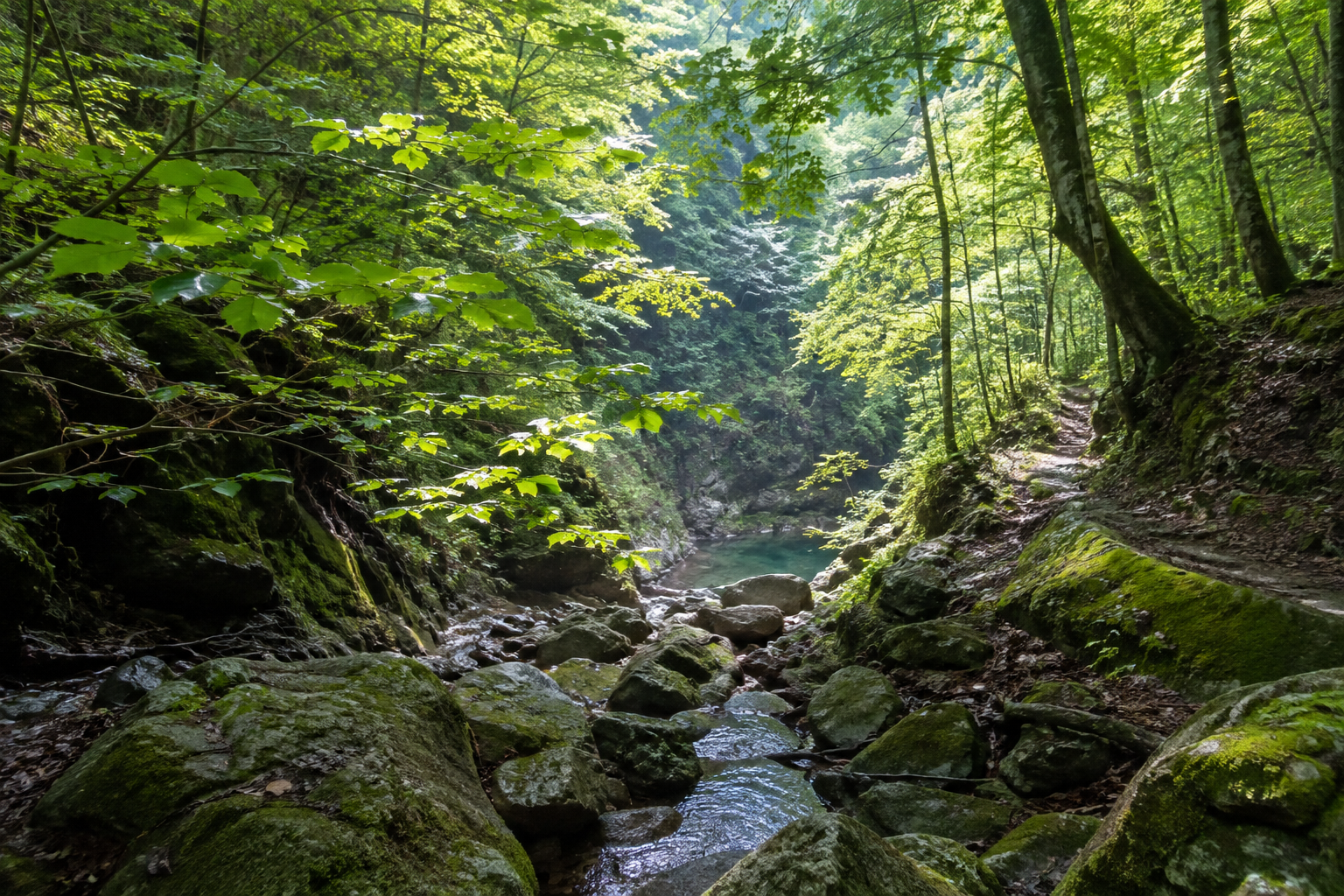 一ノ倉沢へ向かう山地の森と苔むした石の利用イメージ